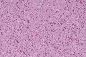 Линолеум Gerflor Mipolam Affinity 4482 Orchid фото  | FLOORDEALER